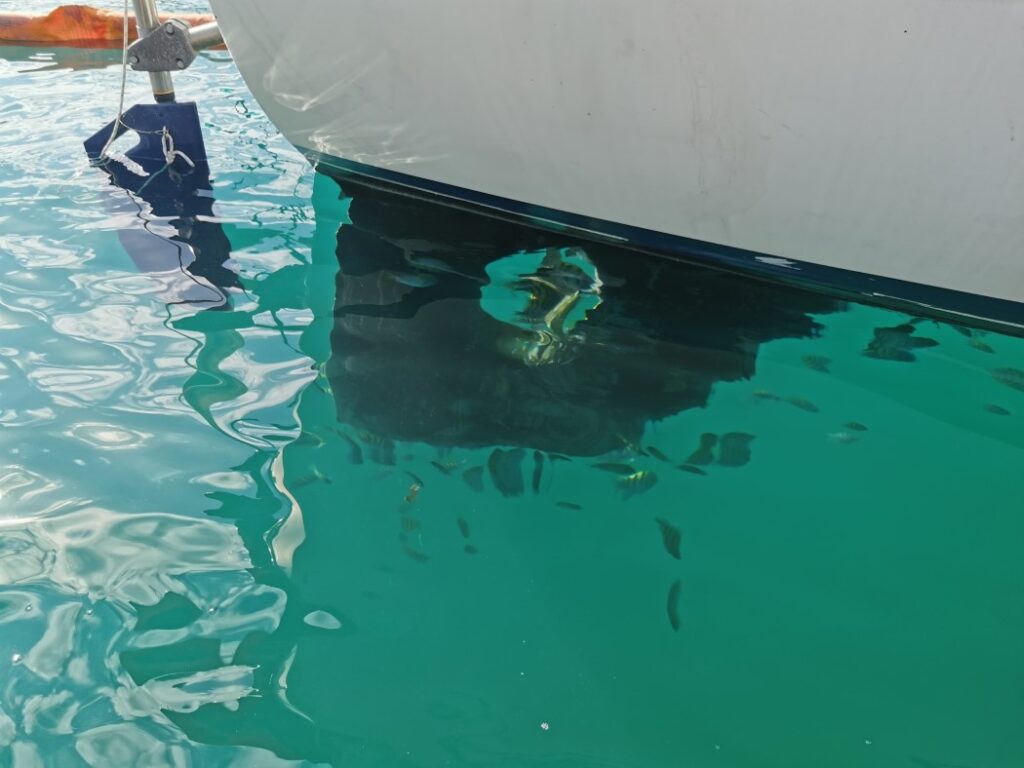 Fische reinigen das Unterwasserschiff von Milagros