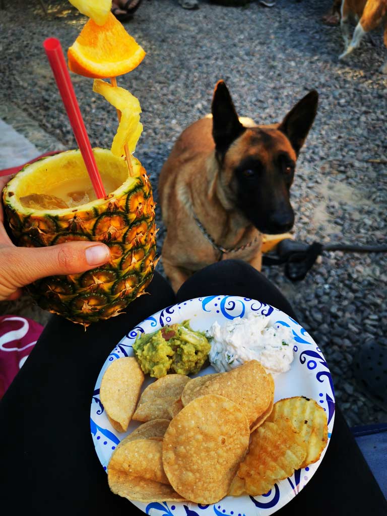 Bonita, Pineapple Cocktail