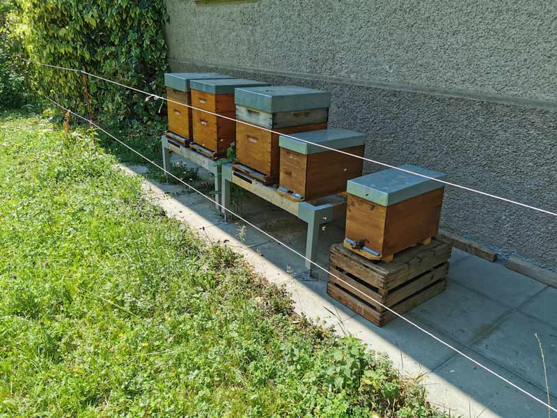 Bee hives
